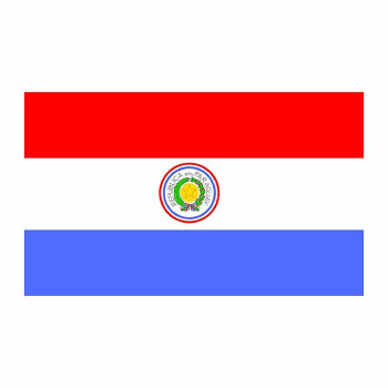 Paraguay Flag Cardboard Cutout -$0.00