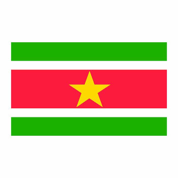 Suriname Flag Cardboard Cutout - $0.00