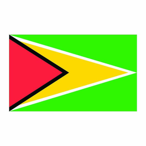 Guyana Flag Cardboard Cutout