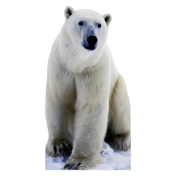 Polar Bear Cardboard Cutout - $48.99