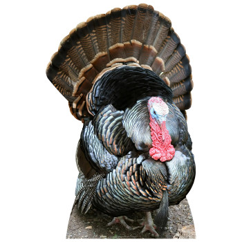 Thanksgiving Turkey Cardboard Cutout - $59.99