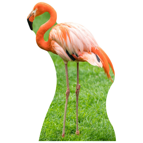 Flamingo Cardboard Cutout
