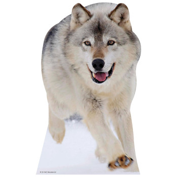 Wolf Cardboard Cutout - $59.99