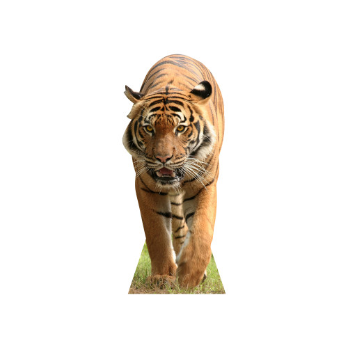 Tiger Cardboard Cutout