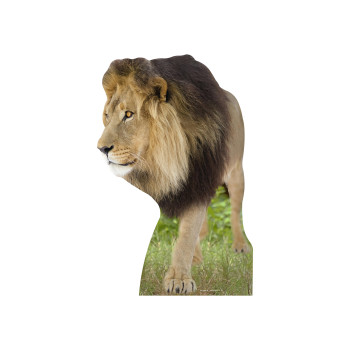 Lion Cardboard Cutout