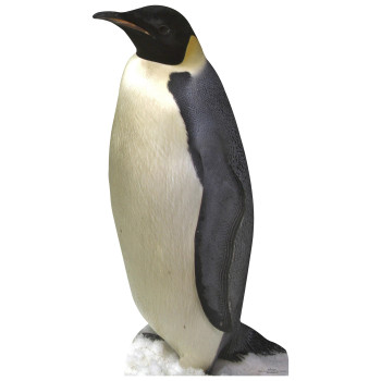 Penguin Cardboard Cutout