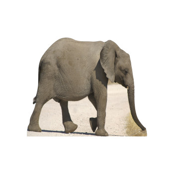 Baby Elephant Cardboard Cutout - $48.99