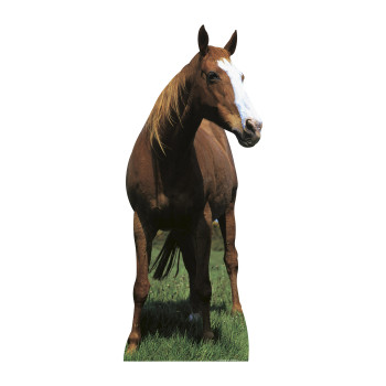 Mustang - Horse Cardboard Cutout