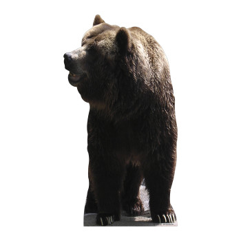 Bear Cardboard Cutout -$59.99